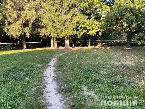 Зґвалтування у луцькому парку: нападника взяли під варту (фото, відео, оновлено)