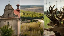 Від старовинних костелів до оленячої ферми: топ-10 фотолокацій на Волинському Поліссі (фото)