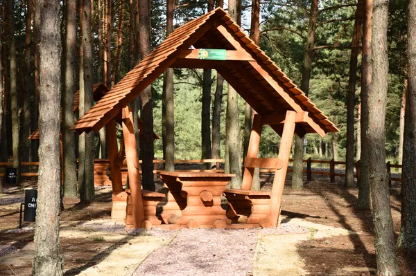 Лісівники соціальні: подорож рекреаційними пунктами Волині (фото)