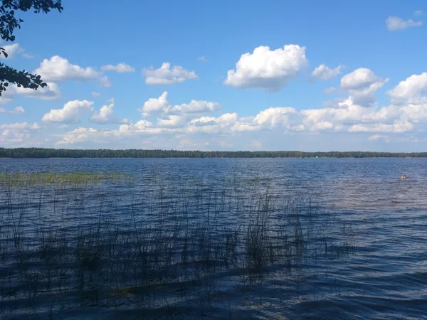 Волиняни і білоруси ділять озеро: 700 гектарів водойми розгорнулися на кордоні двох країн (фото)
