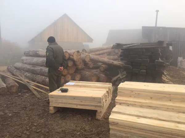 На Волині вилучили десять кубометрів незаконної лісопродукції (фото)