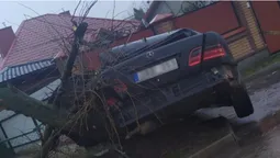 Аварія у Ковелі: автівка на єврономерах знесла дерево (фото)