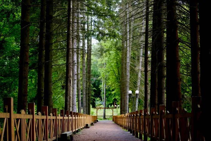 Показали сонячні фото весняного Воротнева
