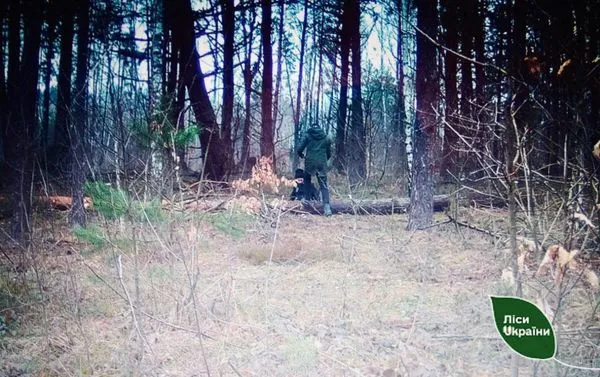 На Камінь-Каширщині фотопастки «палять» лісокрадів (фото)