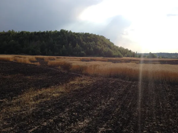 Волинські рятувальники ліквідували 21 пожежу за минулий тиждень