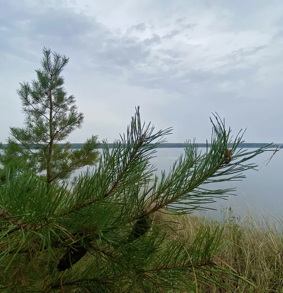 Атмосферні фото: показали осінні краєвиди Хрінників