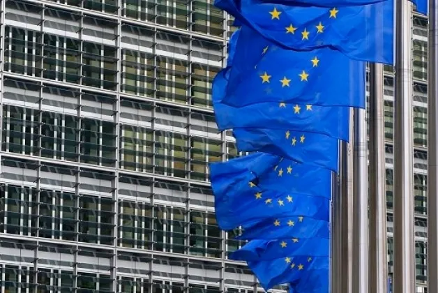 Безвізовий режим для Грузії розглядатимуть окремо від України