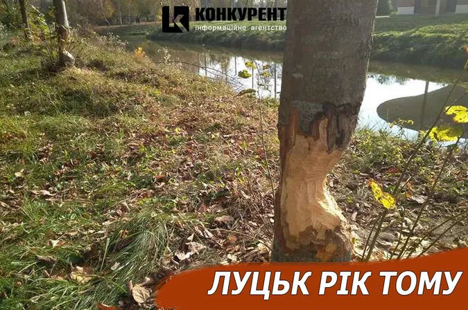 Луцьк рік тому: водна проблема та бобри в парку