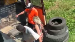 Новарчук пояснила, що за собаки "з’являються" у Луцьку (відео)