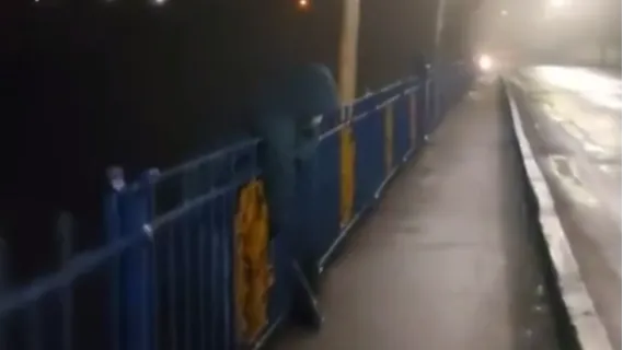 Врятував перехожий: у Луцьку жінка хотіла стрибнути з мосту (відео)