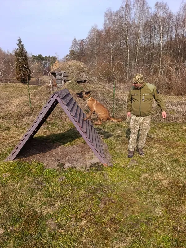 Майже 20 років до мрії: як прикордонник із Ковеля знайшов чотирилапу напарницю