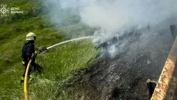 На Ковельщині палали суха трава й чагарники