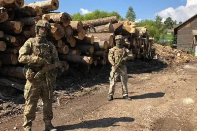 СБУ викрила на Закарпатті розкрадання лісу на 300 тисяч гривень (фото, відео)