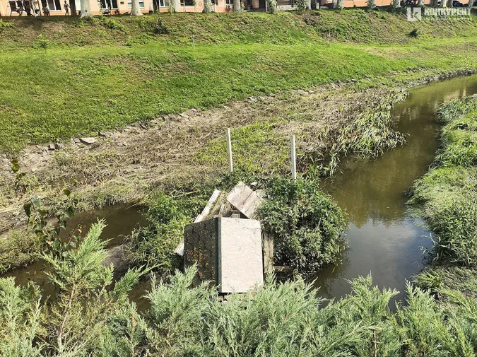 У Луцьку злива зруйнувала будиночки місцевих качок (фото)
