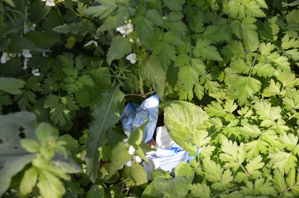 Замість квітів