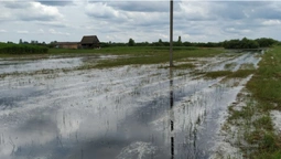 Підтоплені гектари полів: на Волині рятують урожай (відео)