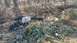 Жителі б’ють на сполох: у Маневичах ліс закидають сміттям (фото)