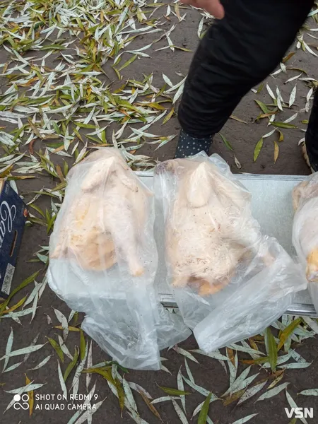 Кури, півні, індики, качки: скільки коштує домашня птиця на ринку в Луцьку (фото)