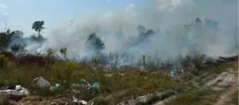 Палали купи сміття й чагарники: на Волині гасили пів гектара пожежі (фото)