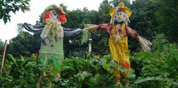 Коли садити рослини і збирати урожай: календар городника на серпень
