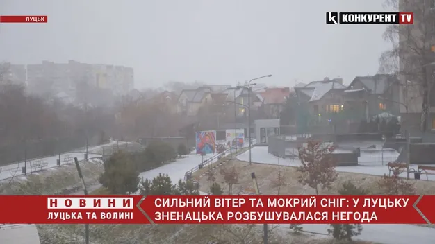 Замело за лічені хвилини: Луцьк накрив шалений вітер зі снігом (відео)