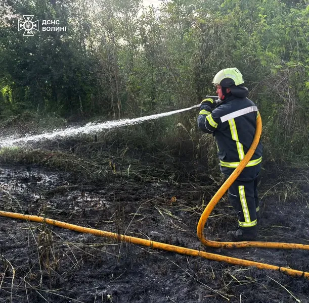 На Волині за добу ліквідували 4 пожежі: триває гасіння торфовищ (фото)
