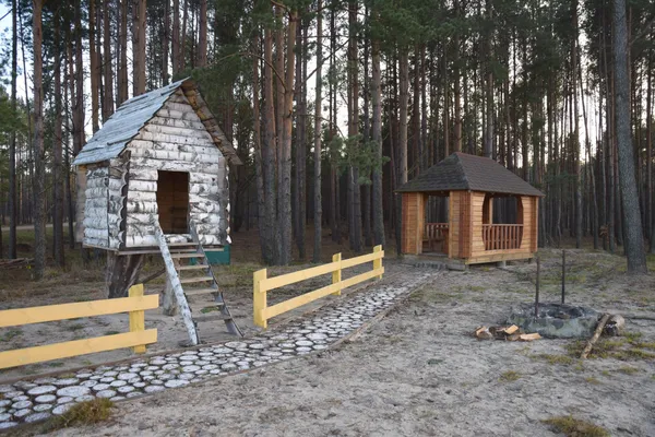 «Лісові» подарунки: як волинські села безкоштовно отримують «туристичні родзинки»