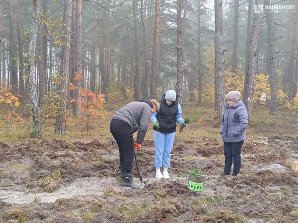 Відра сосен, туман, гриби: чому волинських медійників вивезли в ліс (фото)
