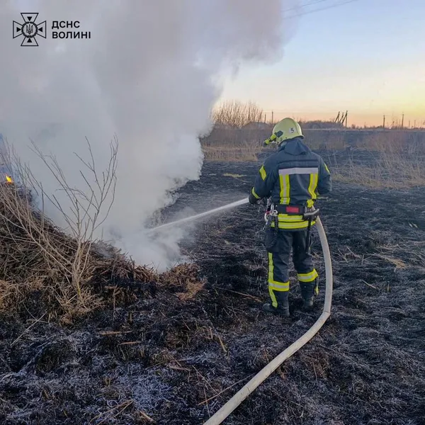 Понад два гектари вогню: на Волині знову палала суха рослинність (фото)