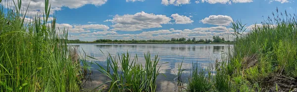 Глибоке і з прозорою водою: біля Луцька є озеро, де водиться багато риби (фото)