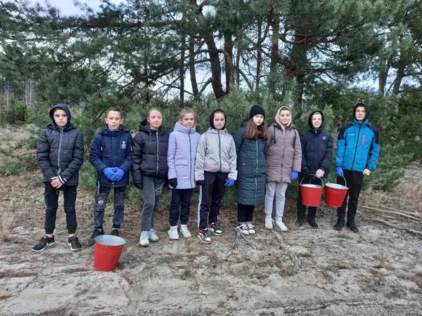 В лісництві на Волині зібрали понад 3 тонни соснових шишок (фото)
