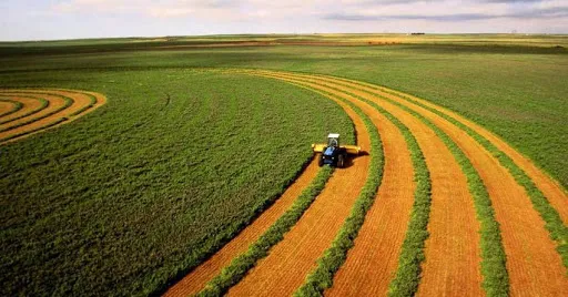 Майже 80% українців проти того, щоб іноземці купували в Україні землю