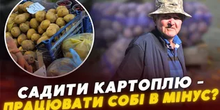 «Вродила половина»: волиняни бідкаються на врожай картоплі та пояснюють, що буде з цінами (відео)