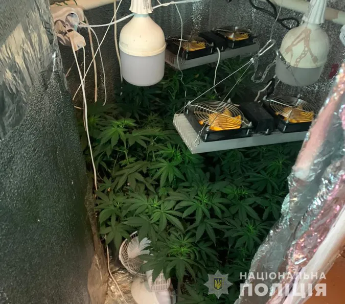 Волинянин облаштував у хаті кімнатку для конопель (фото)