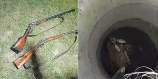 На Волині єгері затримали браконьєрів із рушницями та врятували косулю