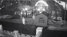 Під Луцький зоопарк підкинули цуценят (фото, відео)