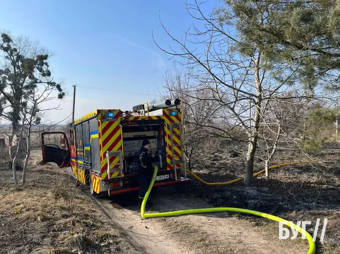 У Володимирі невідомі підпалили сосни біля житлового будинку (фото)