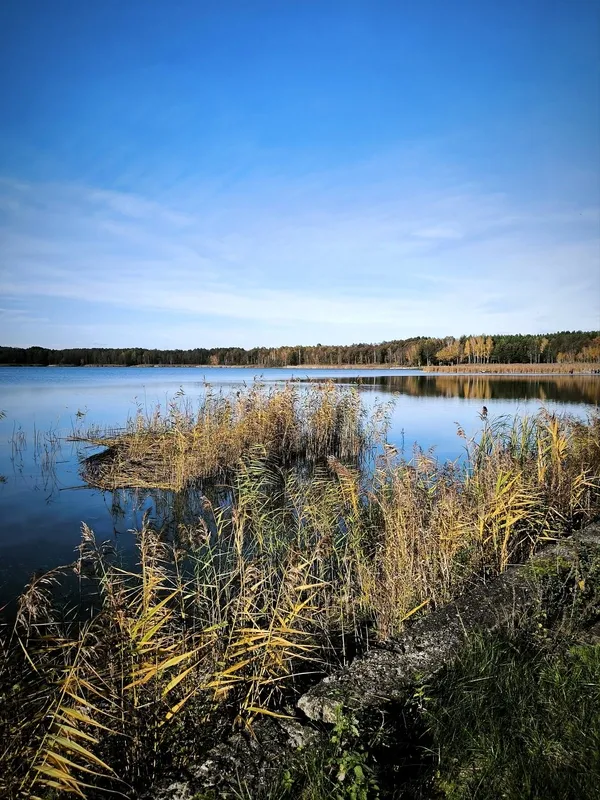 Осінній спокій озера Пісочне у Ковельському районі (фото)