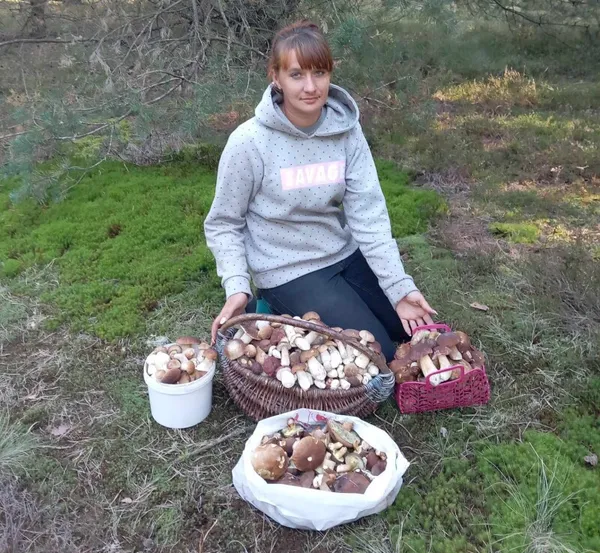 316 білих грибів вдалося «вполювати» волинянці за один раз (фото)