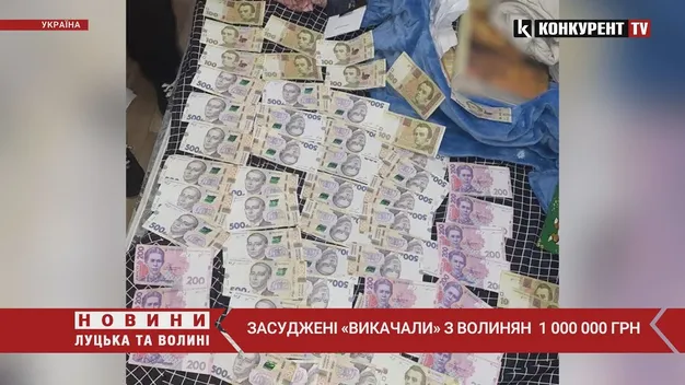 Житомирські в'язні обдурили волинян на близько мільйон гривень (фото, відео)