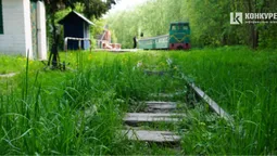 Біля луцької дитячої залізниці прочистять хащі