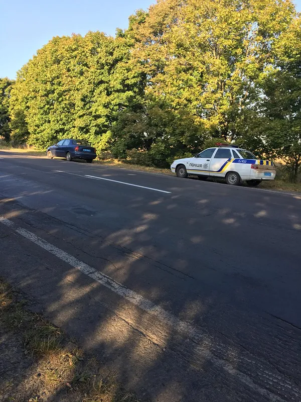 На Волині водій «BMW» влетів у дерево на узбіччі (фото)