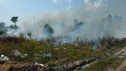 Палали купи сміття й чагарники: на Волині гасили пів гектара пожежі (фото)