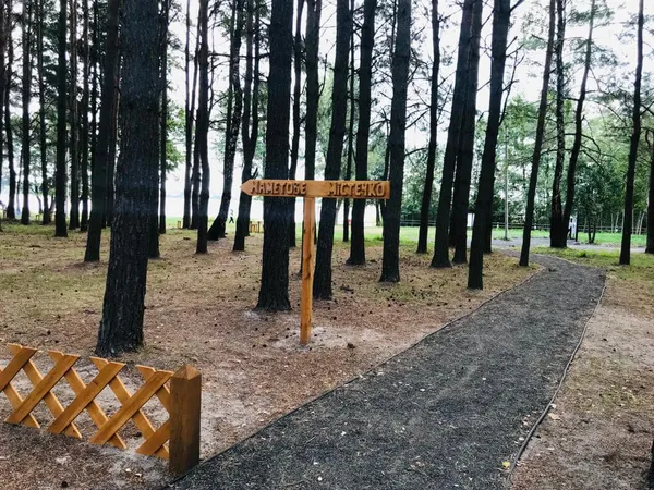 Поблизу озера Велике Згоранське облаштували нову екологічну стежку (фото)