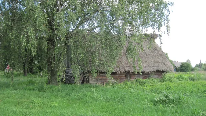 Село на краю світу: де на Поліссі ще можна побачити життя, як 200 років тому (фото)