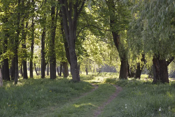 З першого погляду - ніби чисто, але..