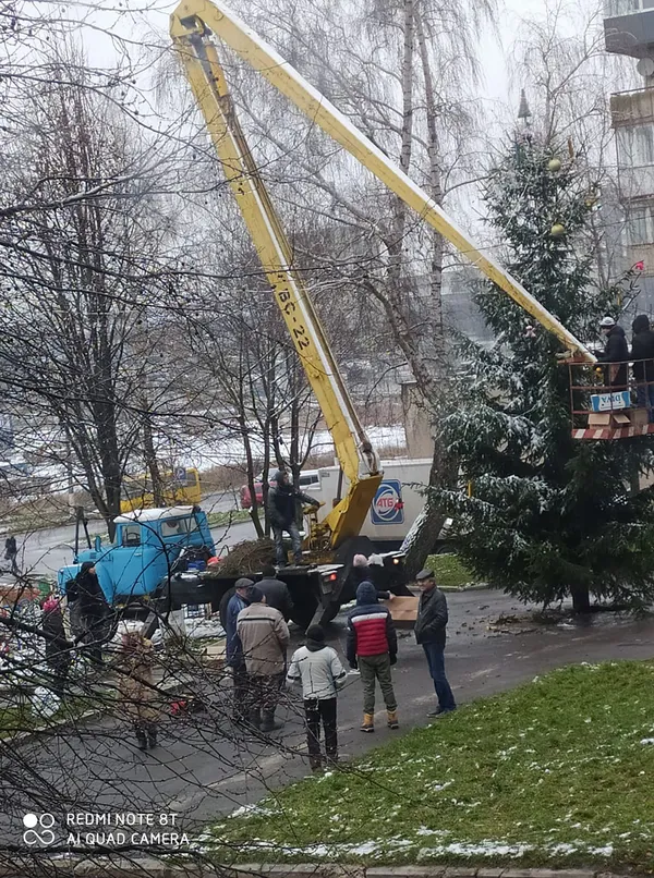 Повішені зайці на ялинці з протезом: у Нововолинську «вистраждали» новорічне дерево (фото, відео)