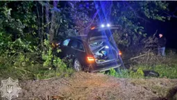 Авто злетіло, віз розвалився: біля Луцька не розминулися кінна підвода та «ауді» (фото)
