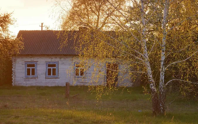 Все цвіте і пахне: весна в селі на Волині (фото)