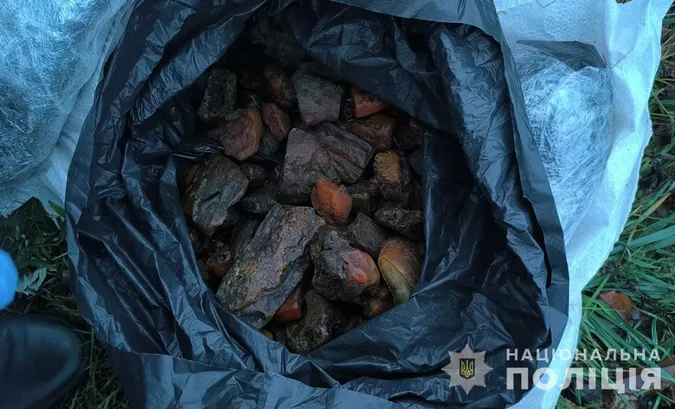 На Волині зловили рівнянина з 30-ма кілограмами бурштину (фото)